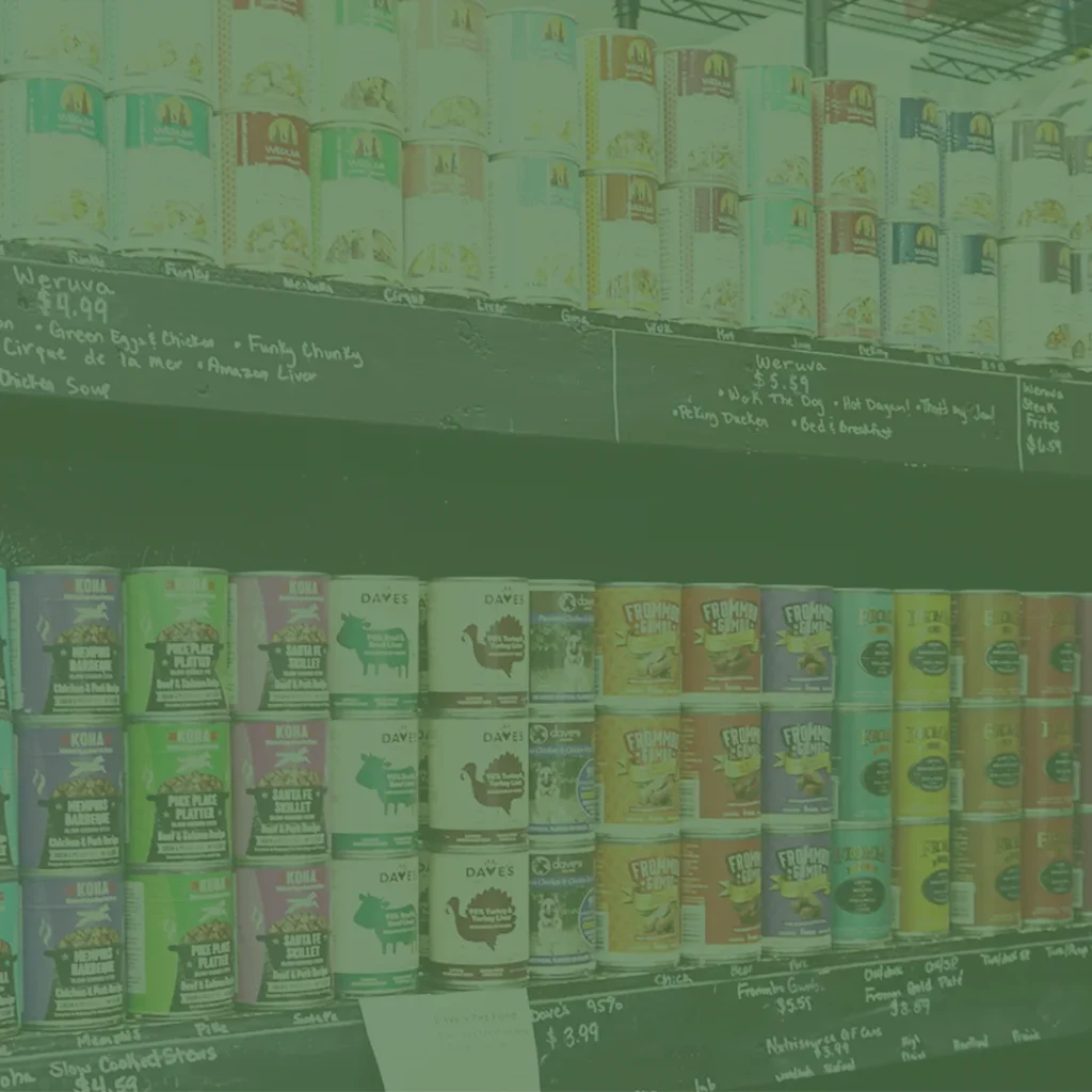 At ADVYON, we were excited to partner with All Is Well Pets, a trusted holistic pet supply store.