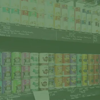 All Is Well Pets: Branding Refresh & Website Redesign by ADVYON